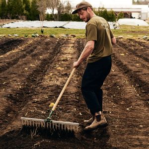 Hovedbilde Growers&co s&aring;bed rake